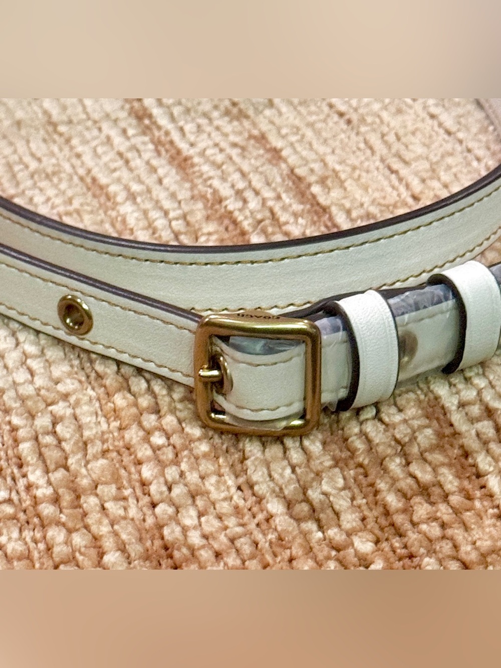 Coach Swinger Long Strap. NWOTs. C2643